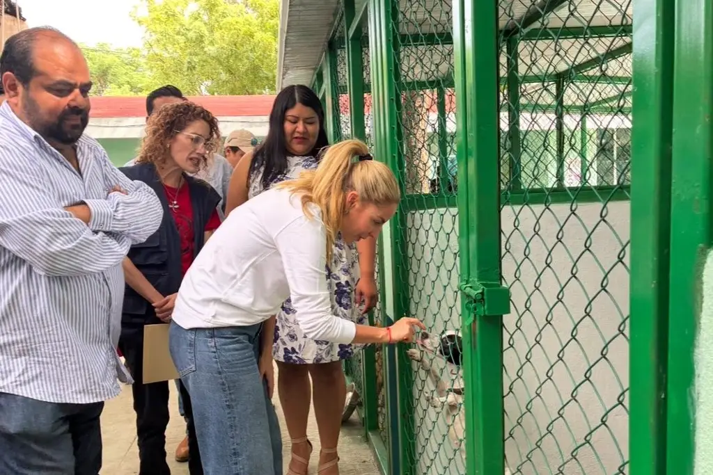 Imagen Inauguran rehabilitación del Centro de Salud Animal de Veracruz 