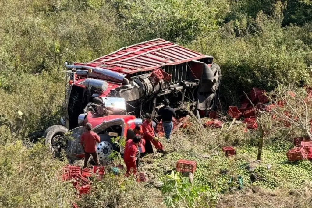 Torton cae a un barranco de 50 metros en las Cumbres de Maltrata