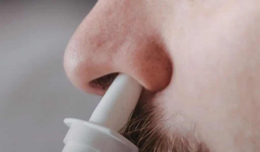 Imagen Autoriza Cofepris nueva vacuna sin agujas contra la influenza ¿Cómo se administra? 