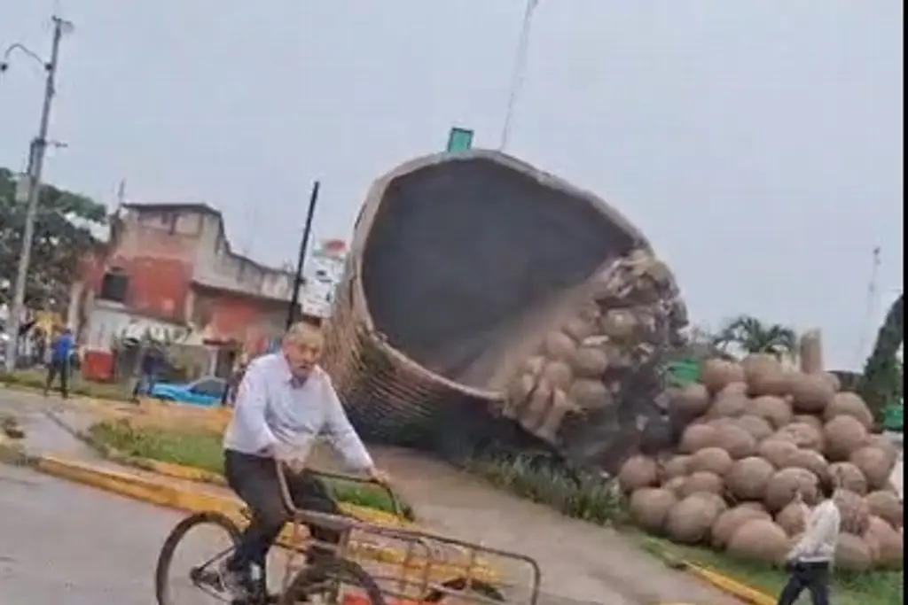 Imagen Cae el emblemático colotero en Álamo Temapache, Veracruz (+VIDEO)
