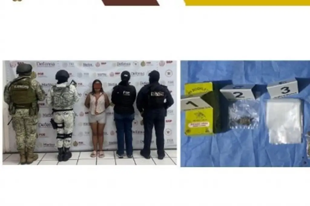 Imagen Realizan cateo en fraccionamiento del puerto de Veracruz; hay una mujer detenida 