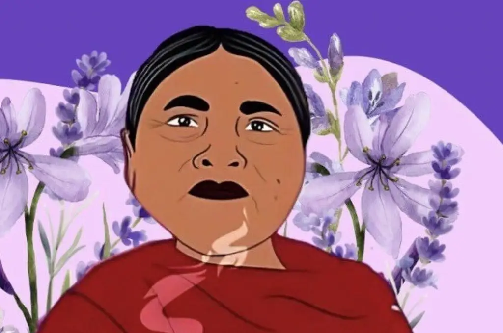 Imagen Gobierno aceptó su responsabilidad por vulneración de derechos humanos a la vida de Ernestina Ascencio