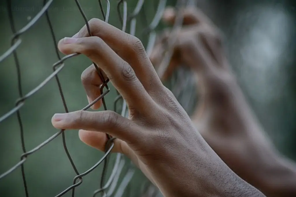 Imagen Los sentencian a 125 y 110 años de cárcel por secuestro al norte de Veracruz 