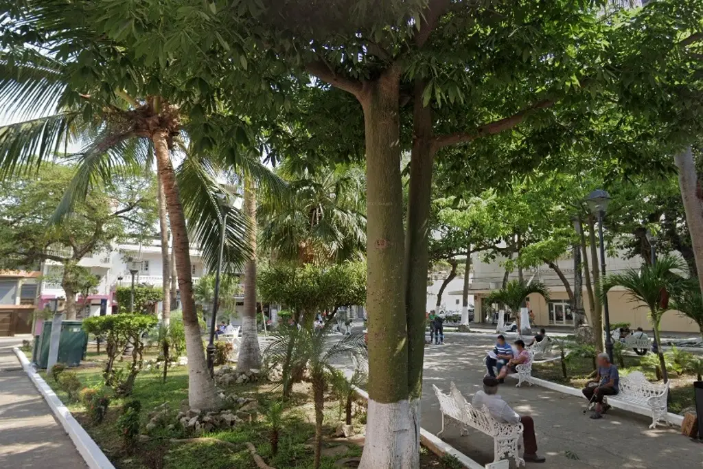 Imagen Proponen cambiar el nombre del parque a la madre en Veracruz