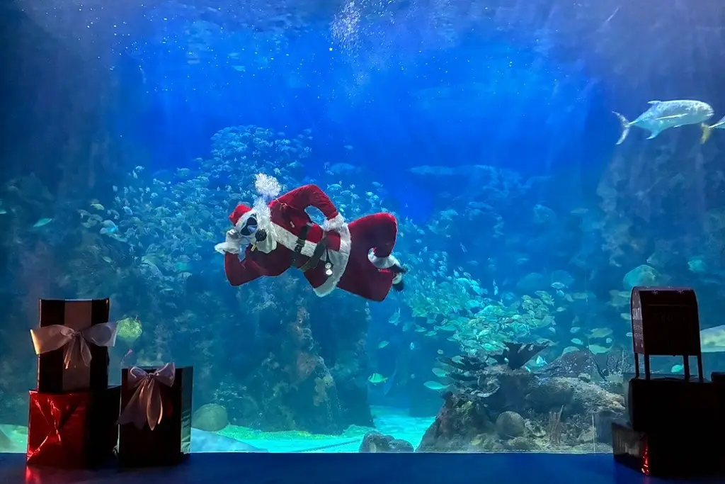 Imagen Santa Claus llega al Acuario de Veracruz, estos son los días y horarios (+Video)