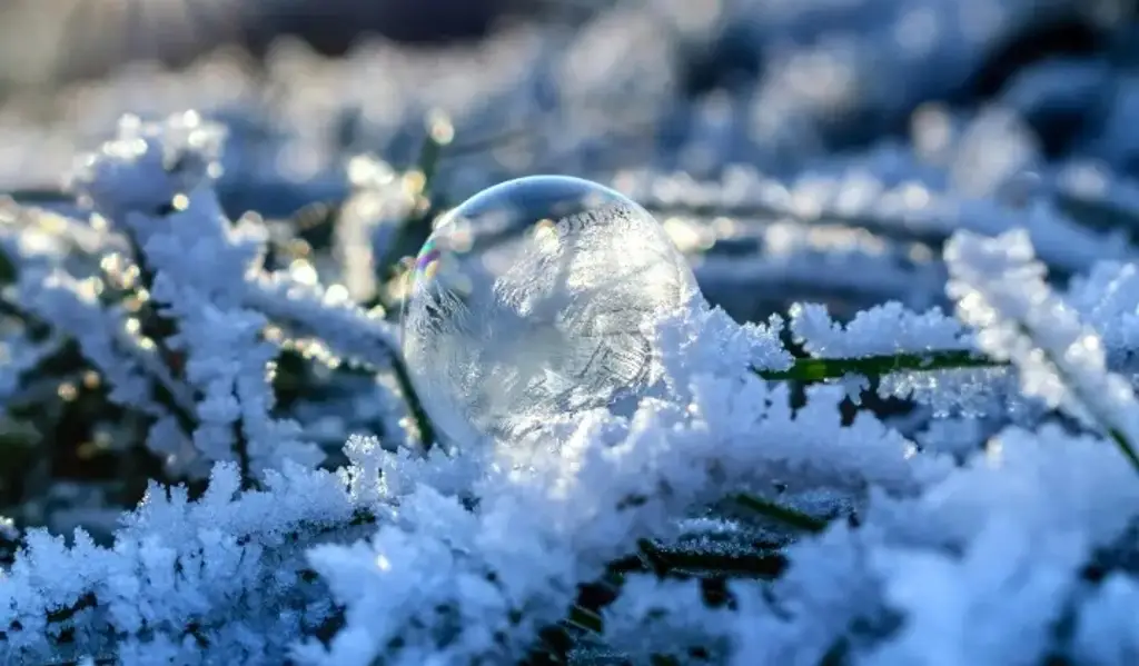 Solsticio de invierno 2025 en México ¿A qué hora será y qué pasará?