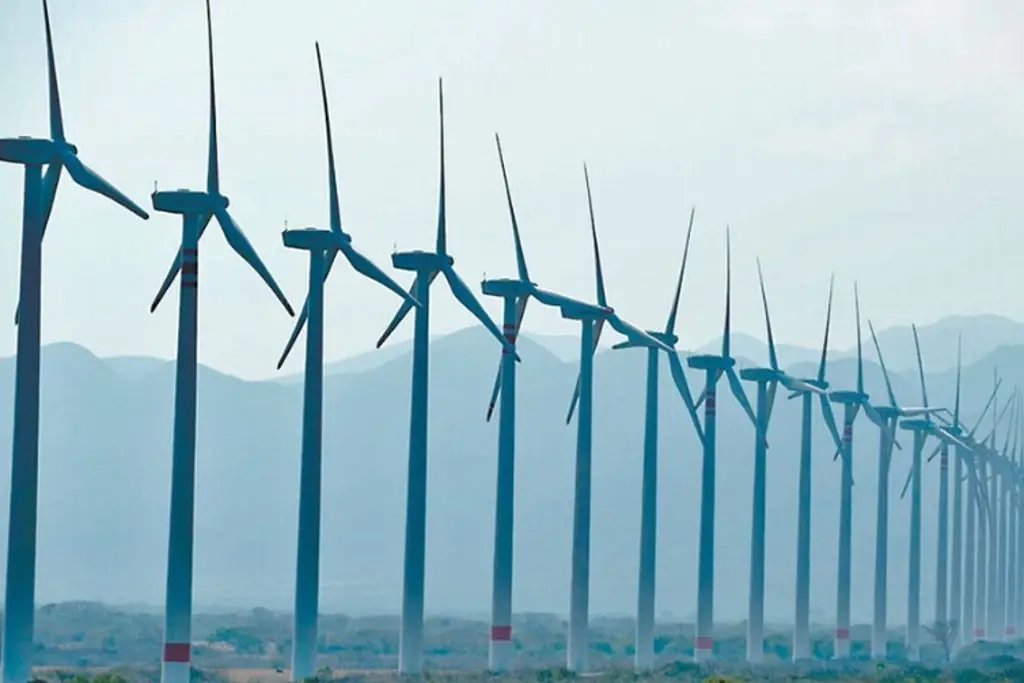 Imagen Gobierno de EU cancela 5 megaproyectos de energía eólica en la costa este