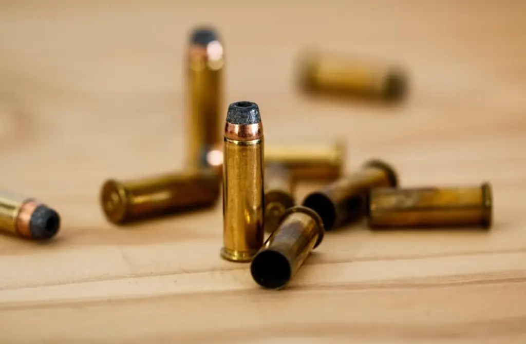 Imagen Veracruz suma 67 feminicidios este 2025, alerta observatorio