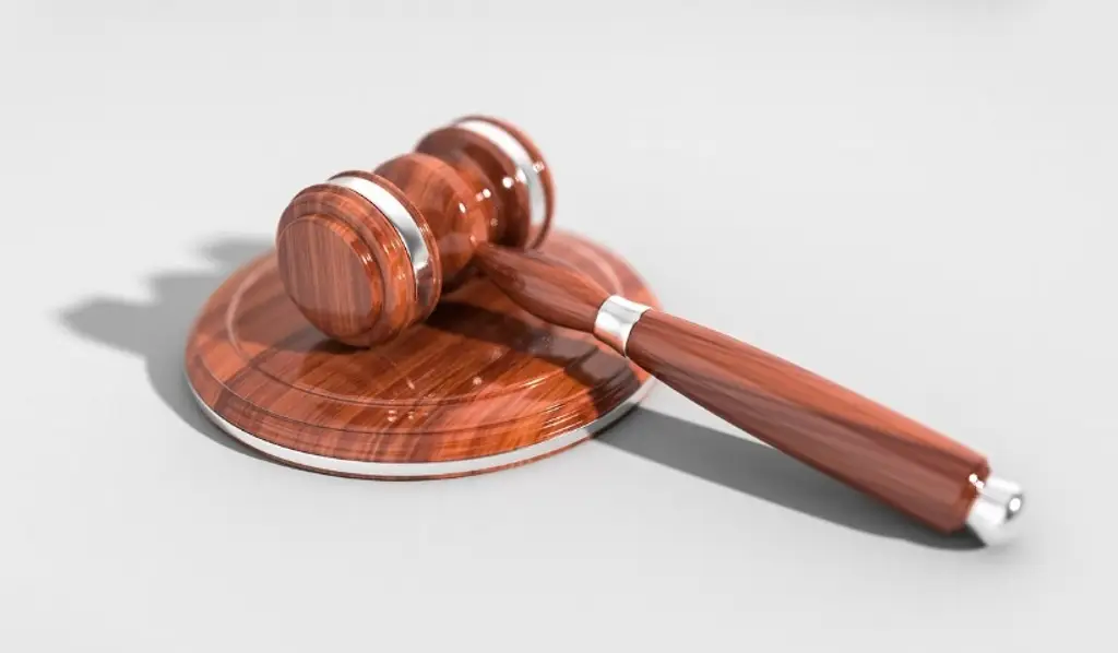 Imagen Colectiva Colmena Verde  pide usar la aplicación Mujer Alerta para denunciar acoso o inseguridad