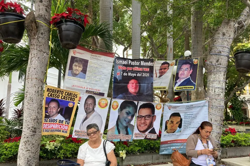 Imagen Varios ‘tesoros’ regresaron a casa, reporta colectivo Solecito de Veracruz