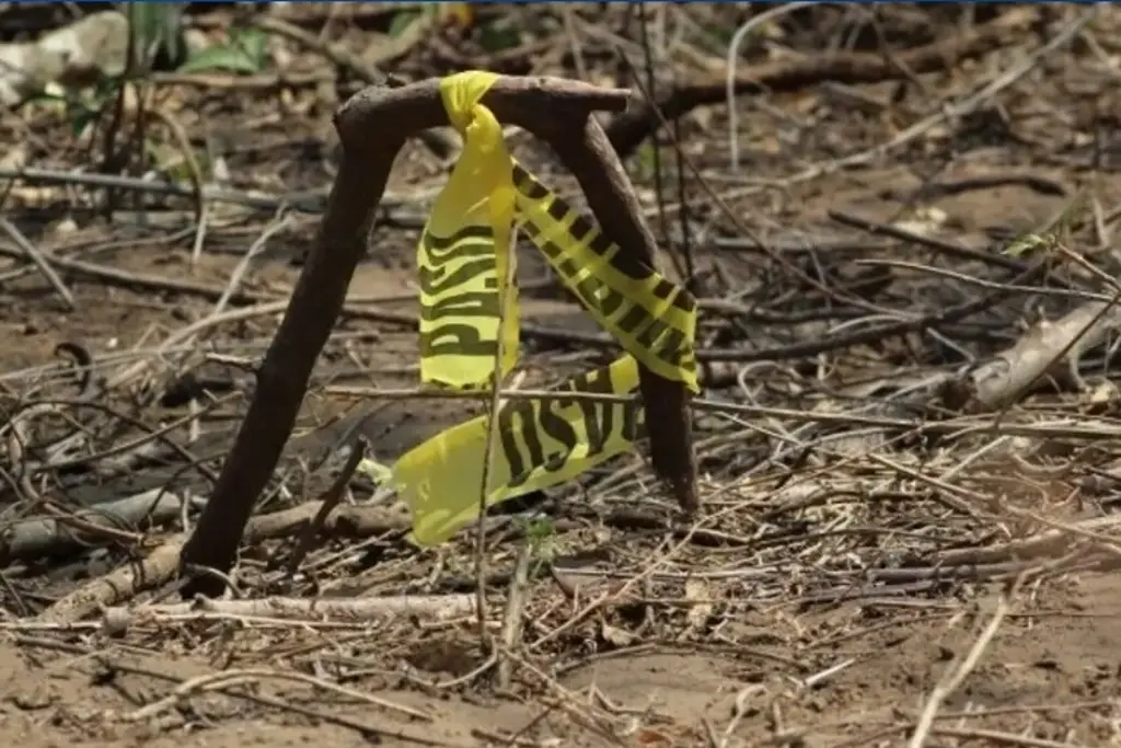 Imagen Colectivo Solecito de Veracruz espera iniciar búsqueda en nuevos predios en el 2026