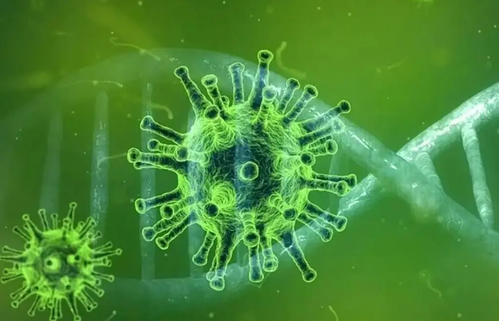 Imagen ¿Qué es la súper gripe y cómo evitarla? 