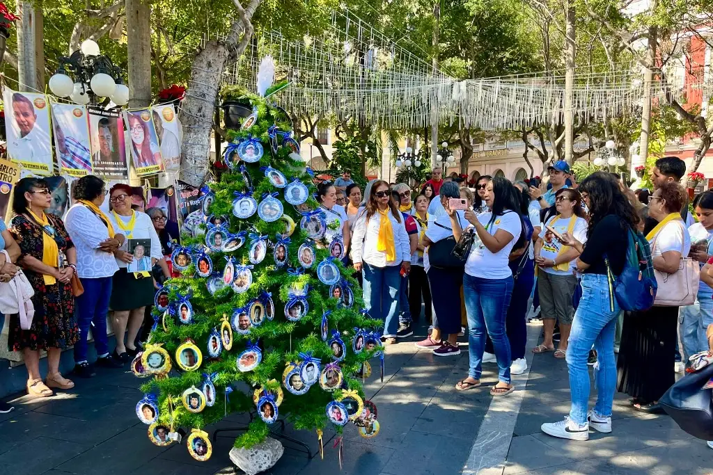 Imagen Retiran el árbol del dolor en Veracruz; un día como hoy un hijo ya no regreso a casa