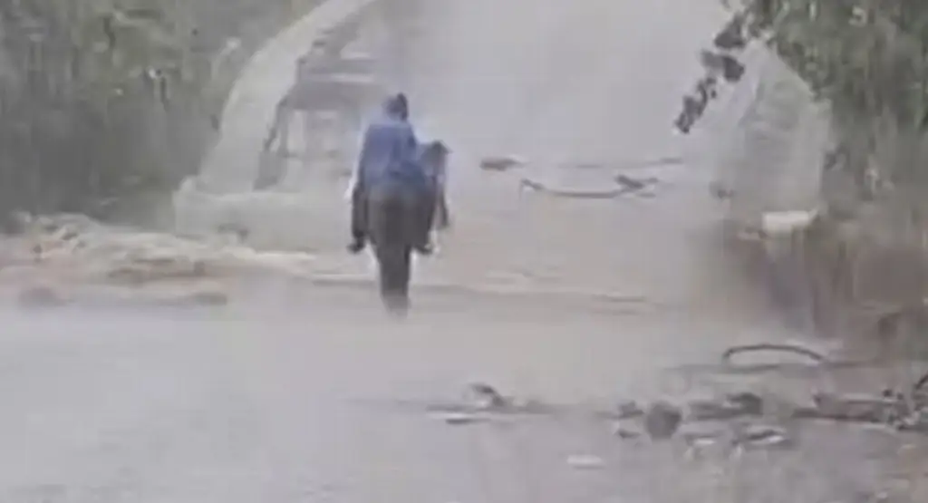 Hombre y caballo son arrastrados por la corriente en Los Tuxtlas; autoridades los buscan