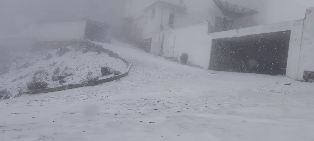 Imagen Reportan la primera caída de nieve en el Cofre de Perote (+Video)