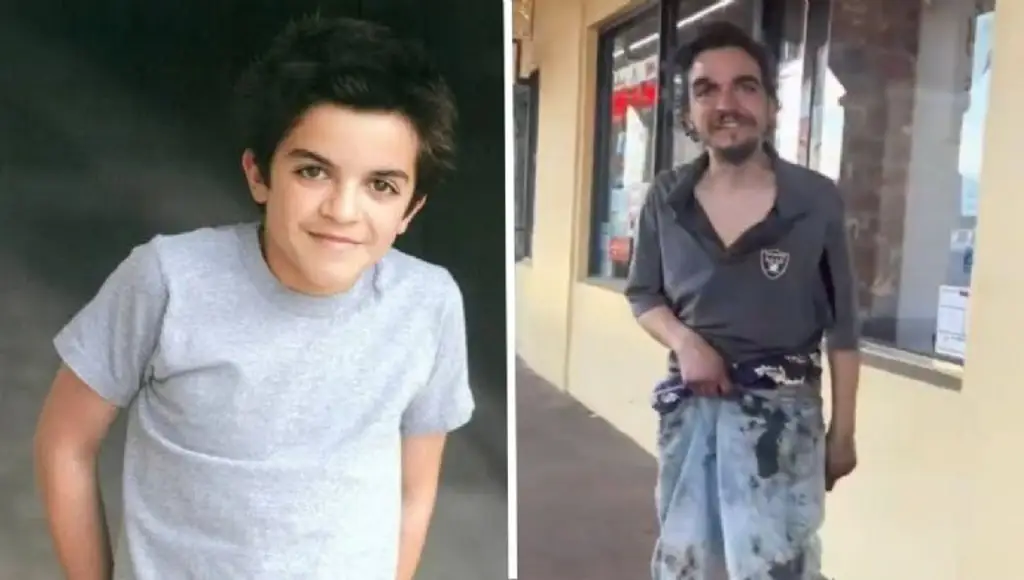 Imagen Ex actor del 'Manual de Ned' es hospitalizado, tras destrozar refugio que le dio compañero de serie