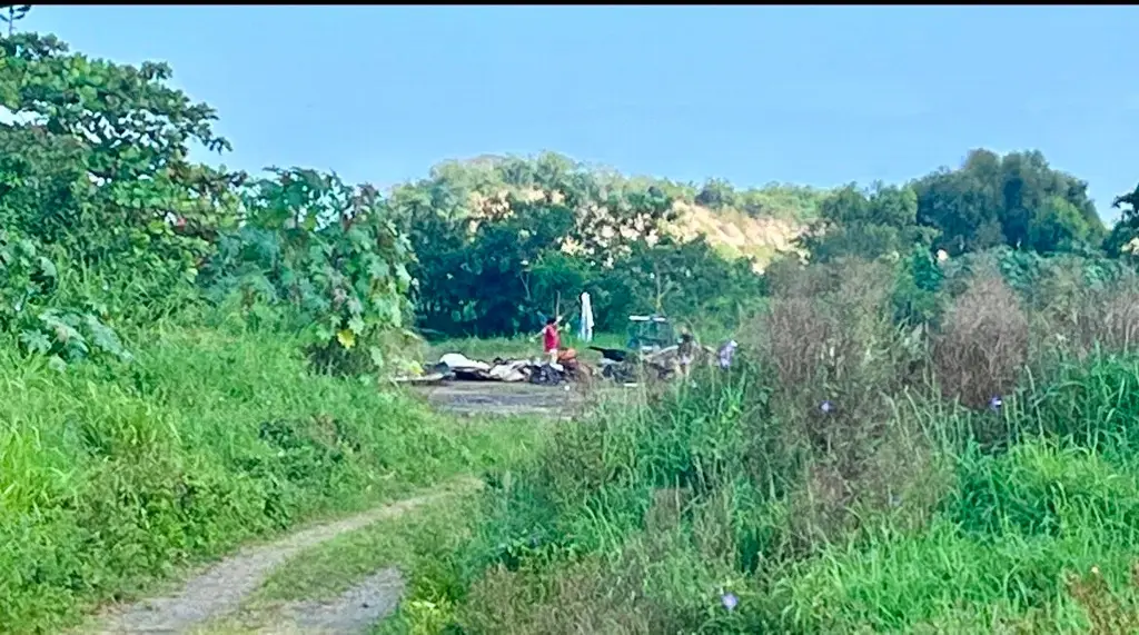 Imagen Se registró un incendio cerca de Divertiplaza en Veracruz