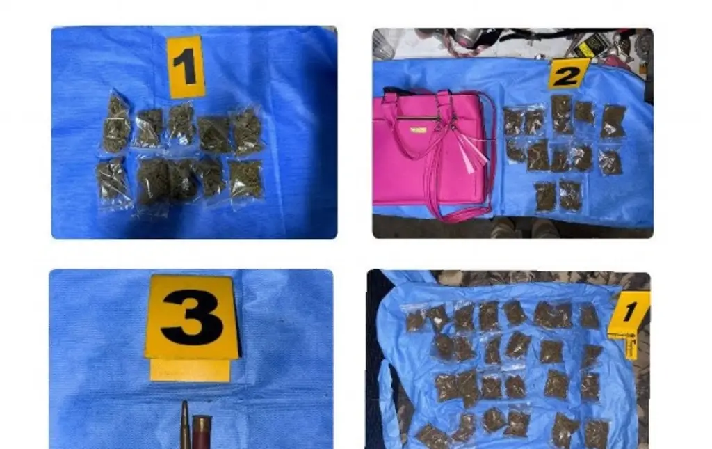 Imagen Realizan operativos en distintos puntos del puerto de Veracruz; hay 2 detenidos 