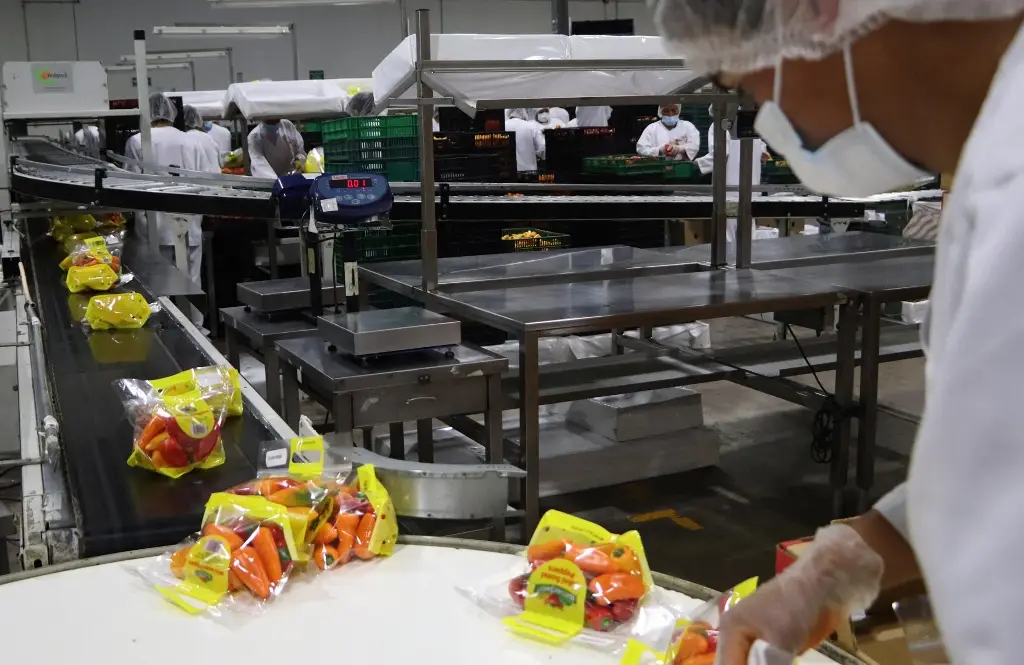 Imagen Unos 40 mil productores mantienen producción de alimentos orgánicos en México en 2025