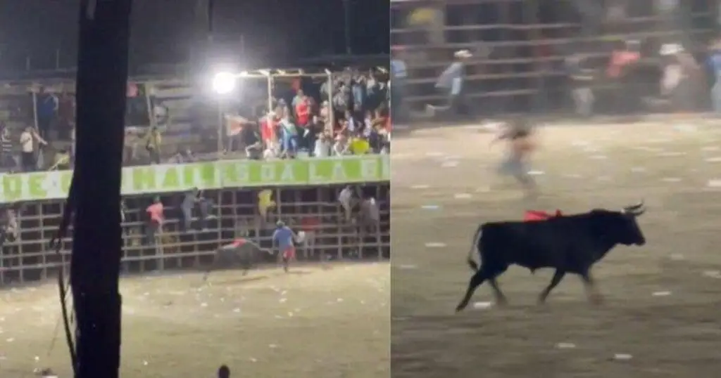 Imagen Adulto mayor muere embestido por toro (+Video) 