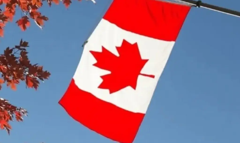 Imagen Suspenden programa migratorio para atraer a refugiados cualificados para trabajar en Canadá 