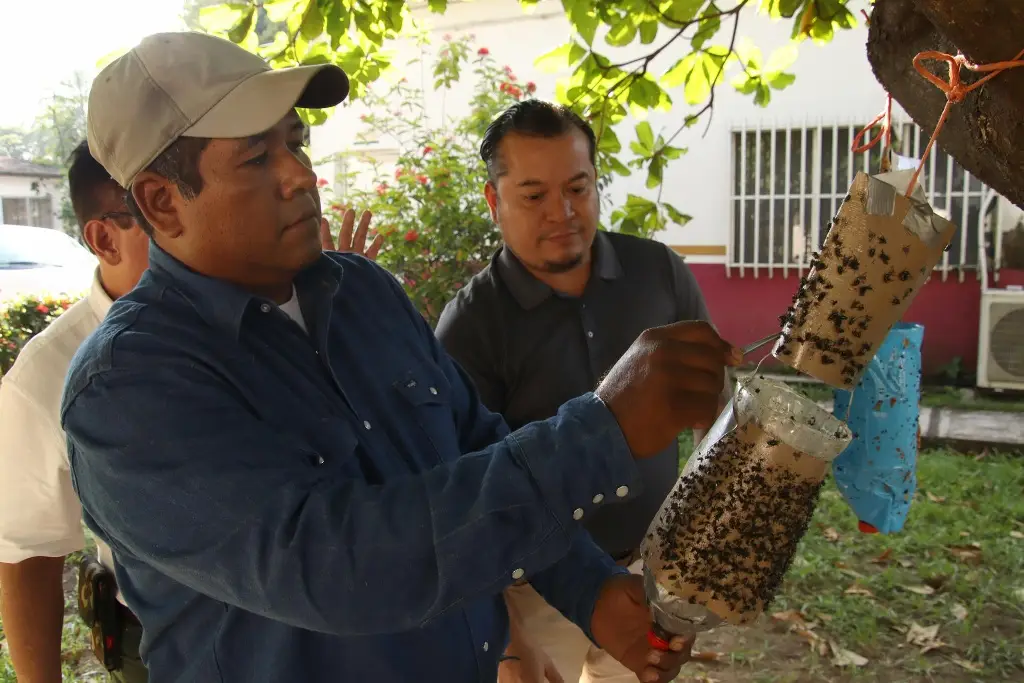Imagen Productores lanzan trampas artesanales para contener al gusano barrenador en Chiapas