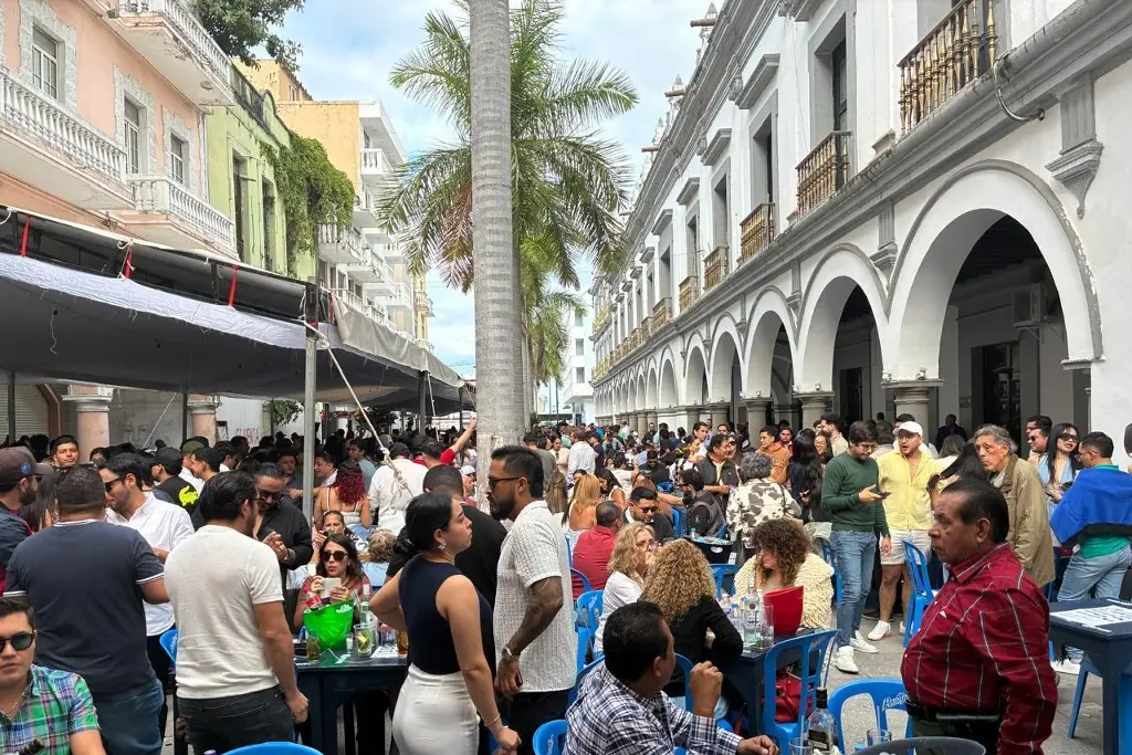 Imagen Despiden el año en Los Portales de Veracruz 