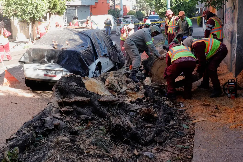 Imagen Estos fueron los daños que dejó el sismo severo en Guerrero