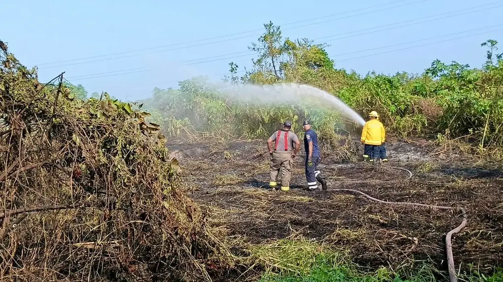 Imagen PC atiende incendio de pastizal en Playa de Vacas; controlan incendio 