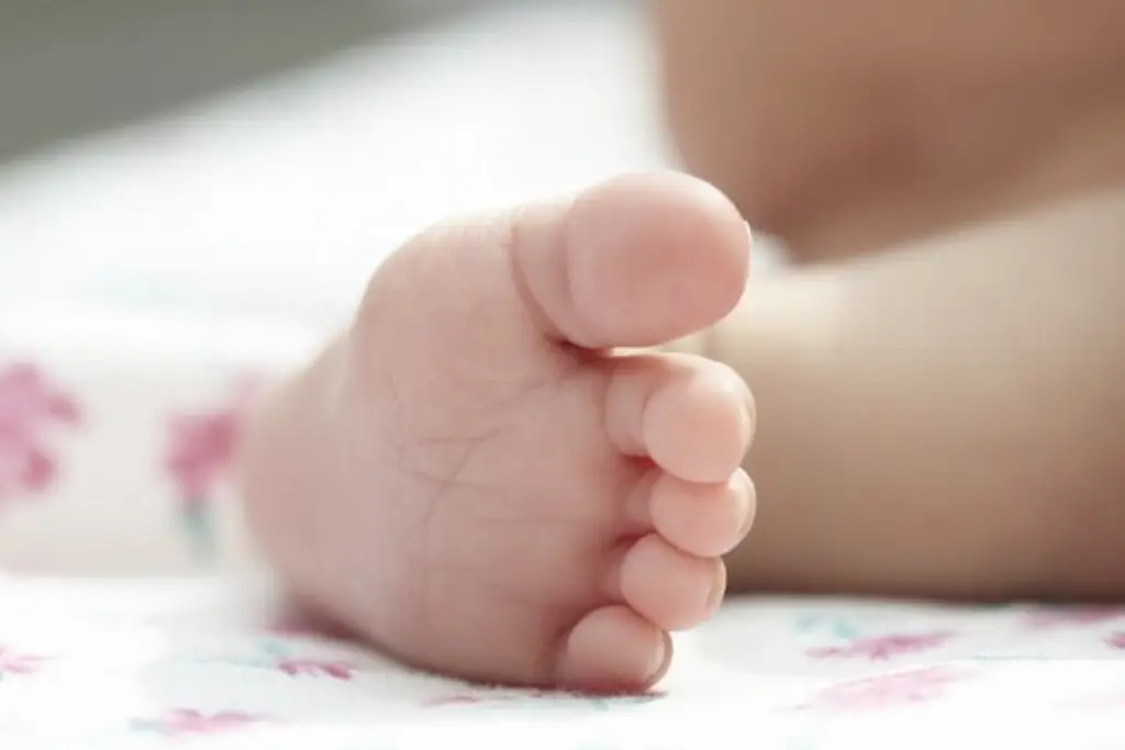 Imagen Rescatan a bebé que estuvo tres días junto al cuerpo sin vida de su madre en Puebla