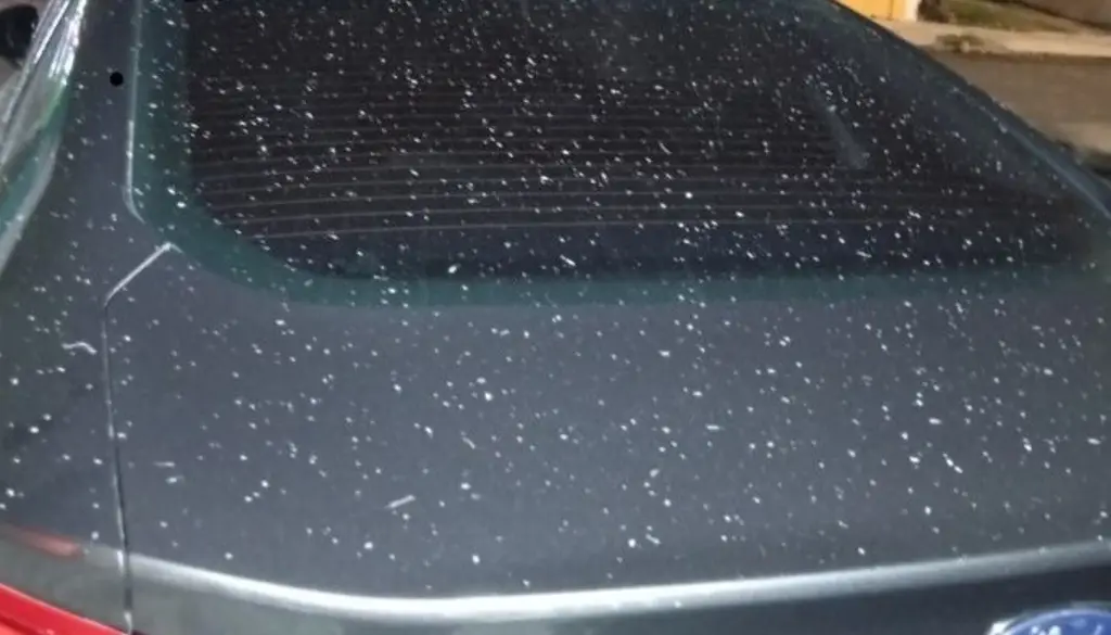 Cae ceniza en Boca del Río; este es el motivo 