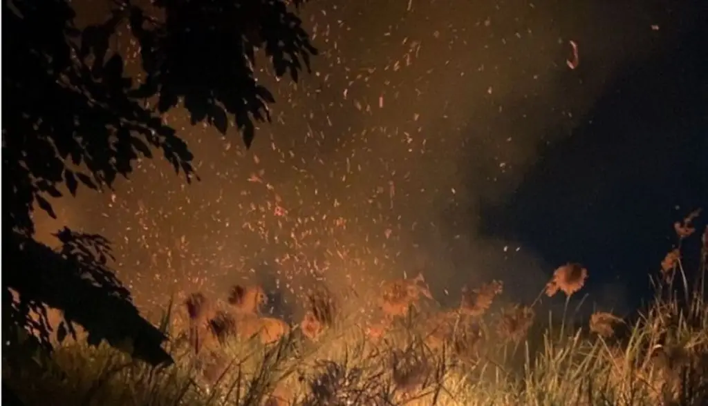 Imagen Esta fue la razón de la caída de ceniza en Boca del Río