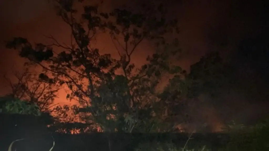 Imagen Protección Civil de Boca del Río invita a ciudadanos a reportar incendios en pastizales