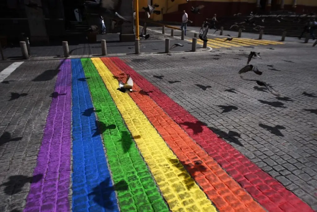 Imagen CEDH Veracruz emite recomendación por discriminación a personas LGBT