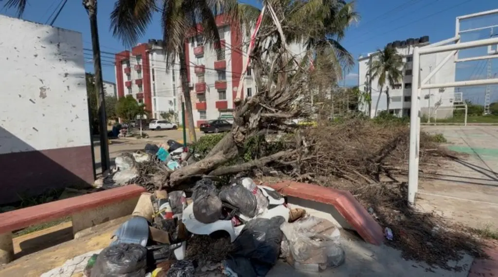 Imagen Mosquitos proliferan  tras inundación del río Cazones al norte de Veracruz 