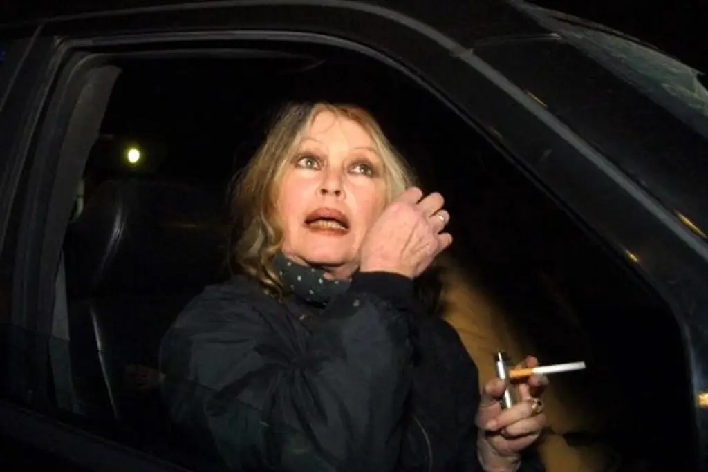 Revelan causa de la muerte de Brigitte Bardo, ícono del cine francés