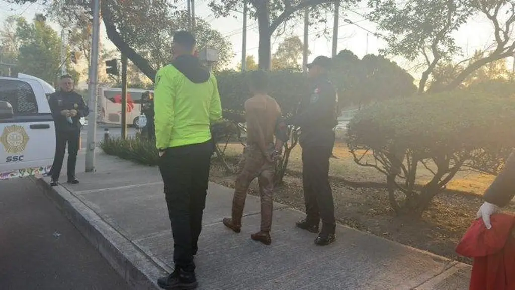 Imagen Detenido por cubrirse con piel de perro en CDMX (+Video)