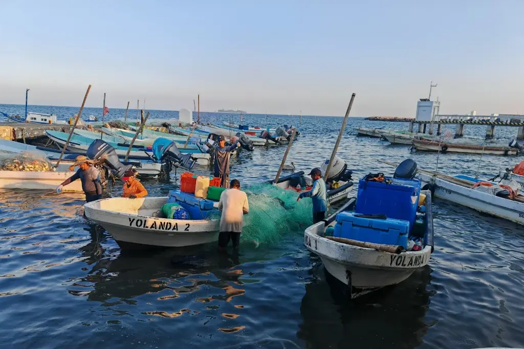 Imagen Captura extraordinaria de cojinuda en Veracruz; pescadores son devotos de San Sebastián