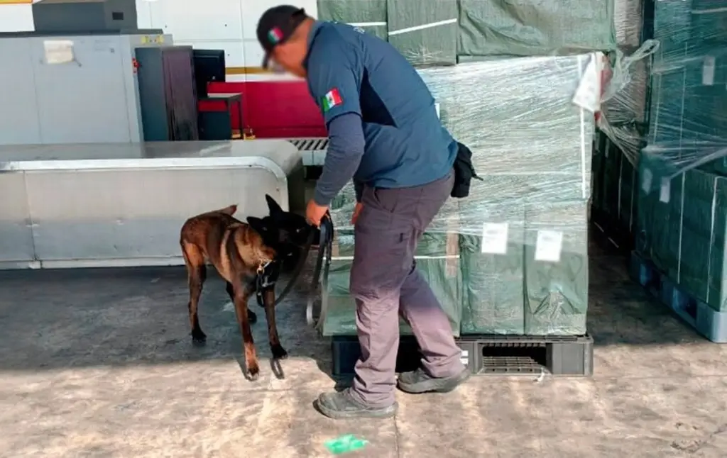 Imagen Aseguran casi 20 toneladas de cajetillas de cigarros ilegales en aeropuerto de CDMX