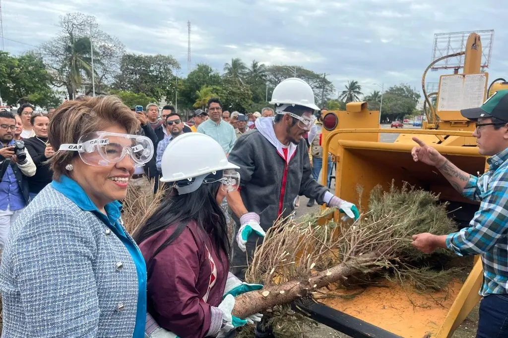 Imagen A estos lugares puedes llevar tu arbolito de Navidad en Veracruz 