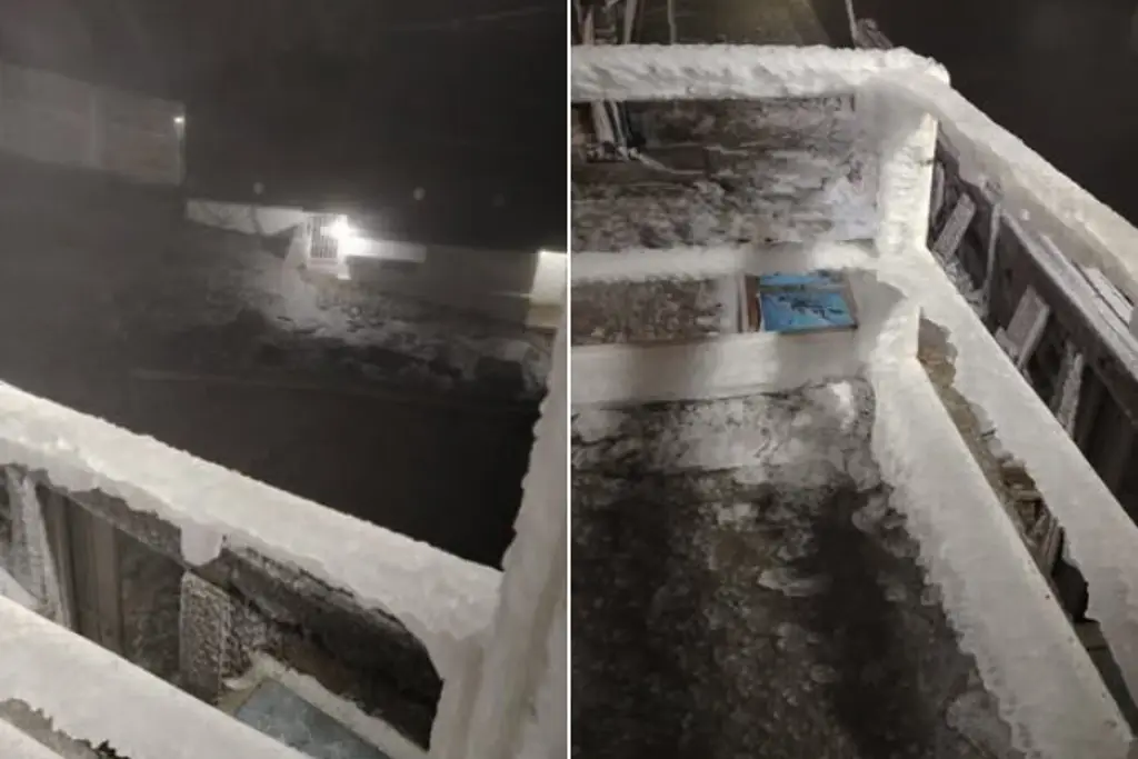 Imagen Reportan Cencellada en el Cofre de Perote tras paso de Frente Frío en Veracruz