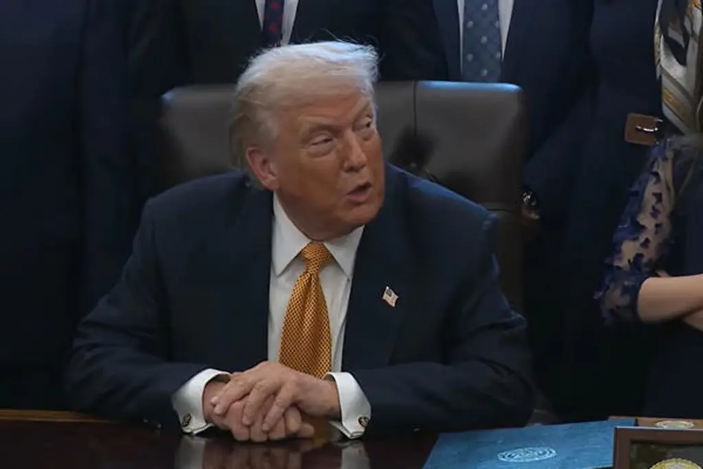 Imagen Delcy Rodríguez confirma llamada telefónica con Donald Trump; de esto hablaron 