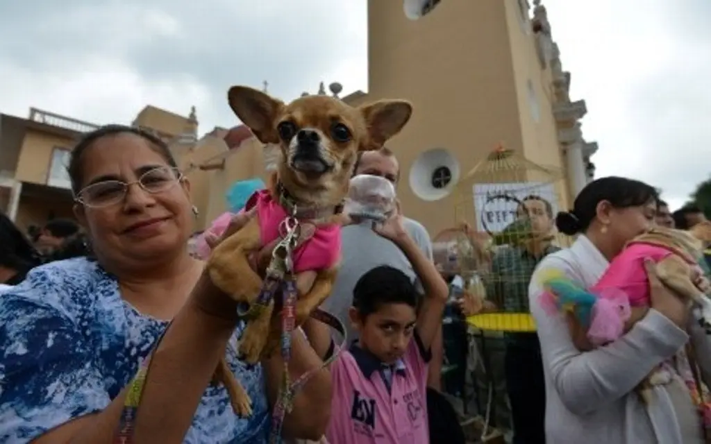 Imagen La relación humano-mascota, herramienta para combatir la depresión: veterinario