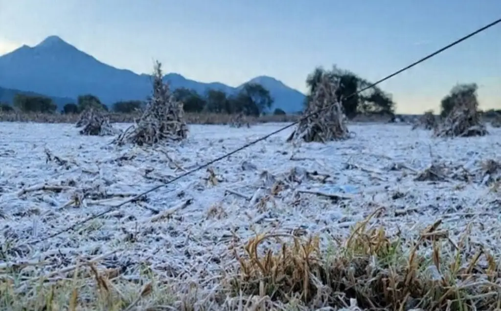 Frente frío 28 provoca heladas en faldas del Pico de Orizaba