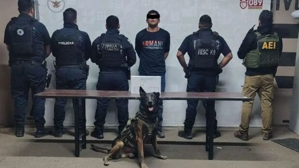Imagen Mujer es tomada como rehén por su propio hijo; agente canino ayuda a rescatarlo