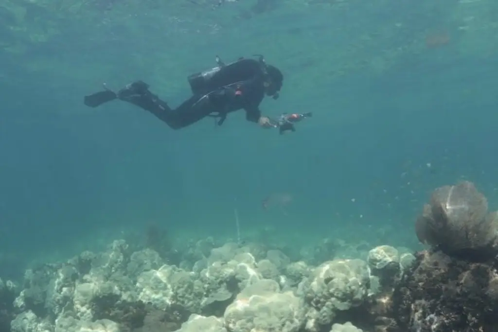 Imagen Entra en vigor el Tratado de Alta Mar ¿Para qué?
