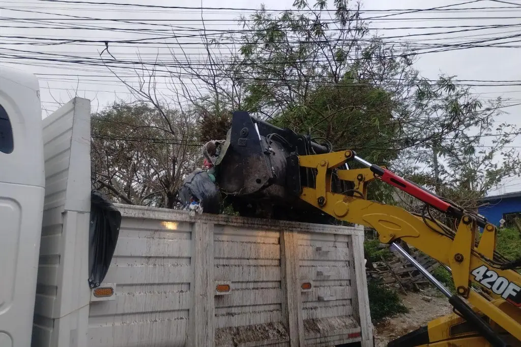 Imagen Anuncian 'Domingo de Descacharrización' en fraccionamiento Floresta de Veracruz