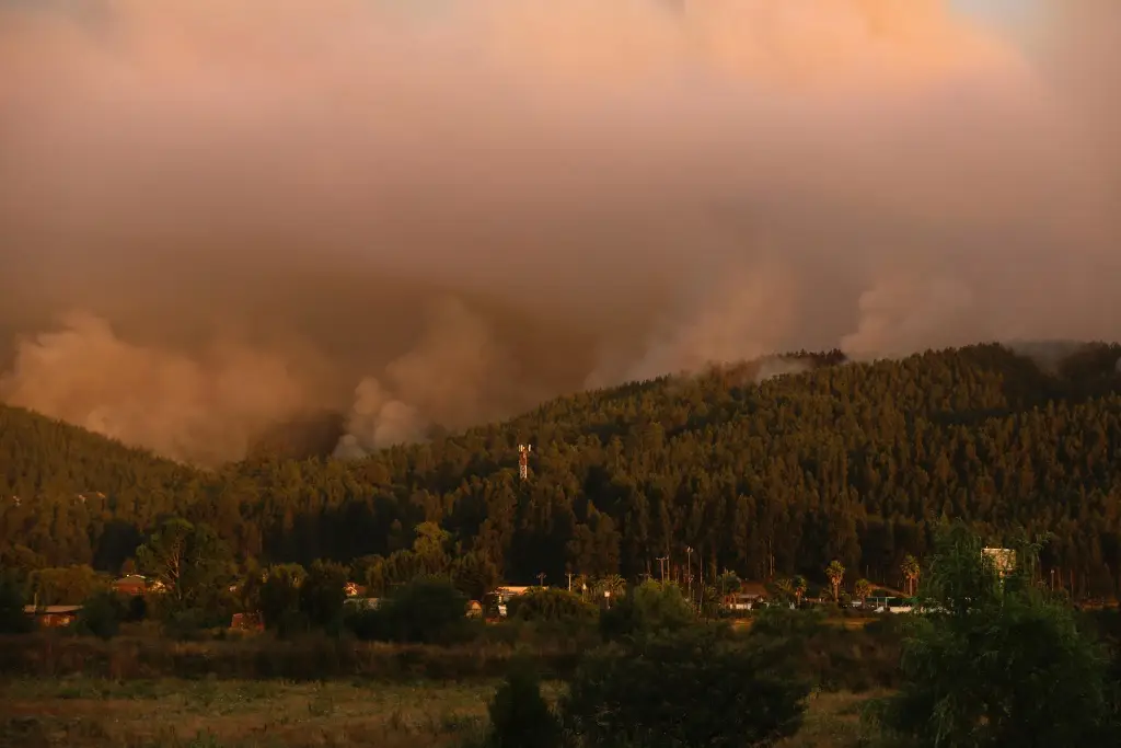 Imagen México lamenta incendios en Chile y descarta que haya connacionales afectados