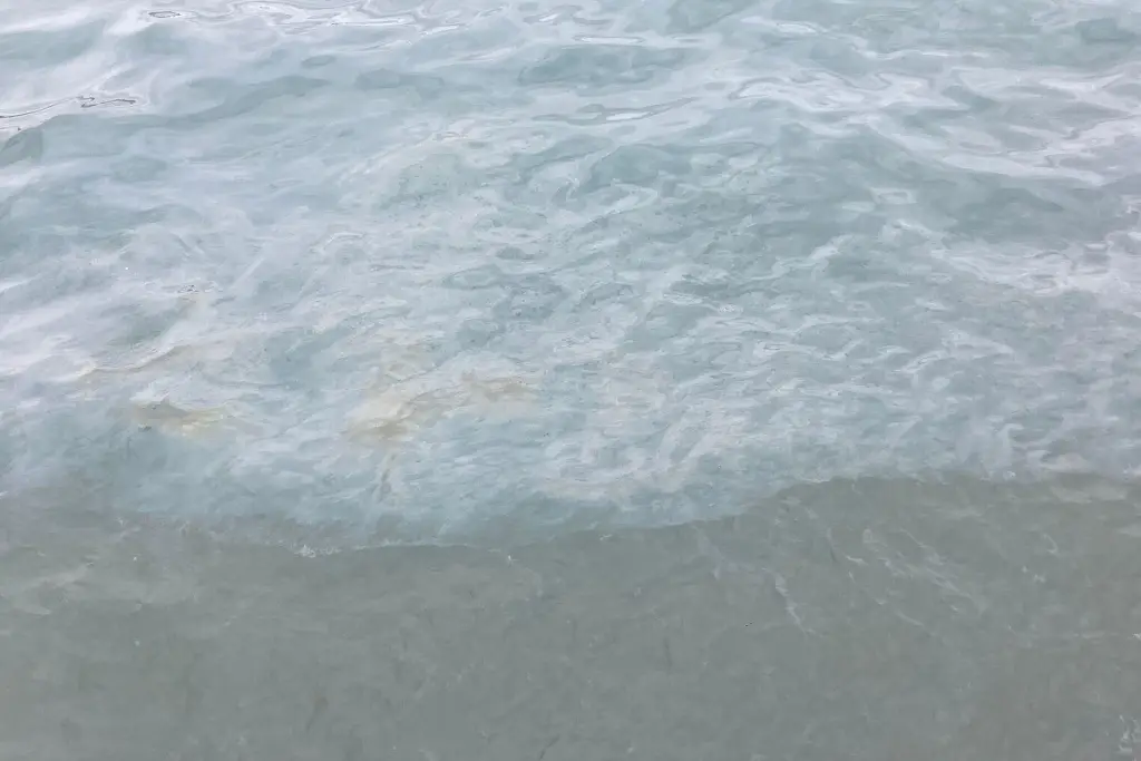 Pescadores registran derrame de combustible en Malecón de Veracruz