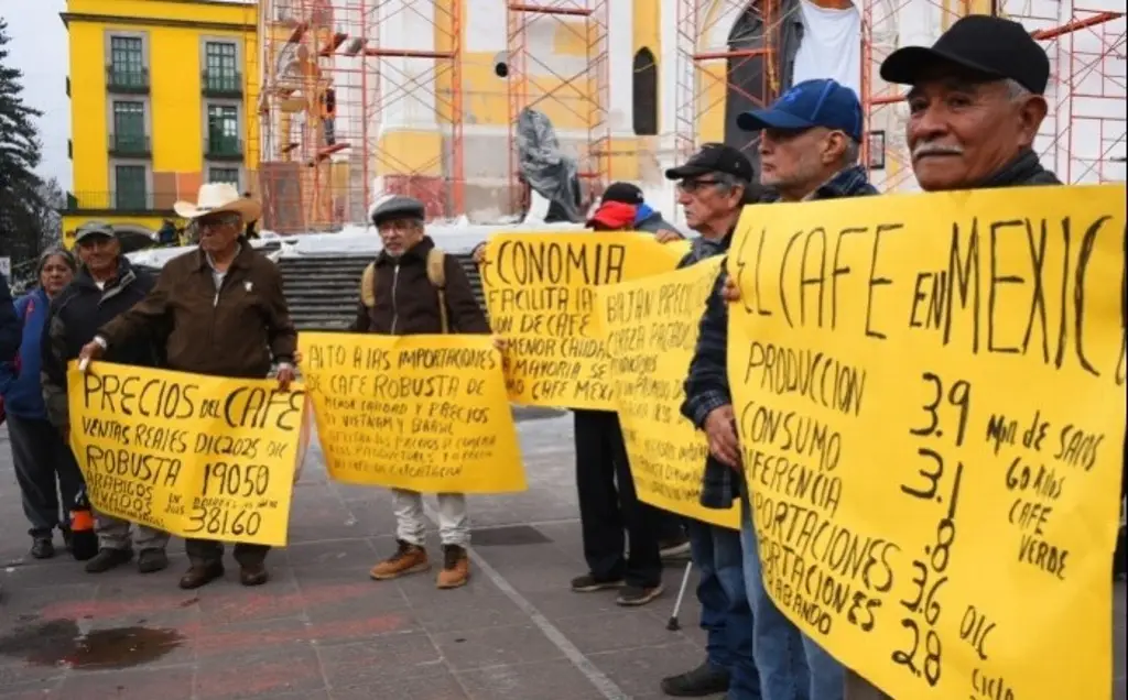 Imagen Productores del café reportan pérdidas por roya y bajos precios